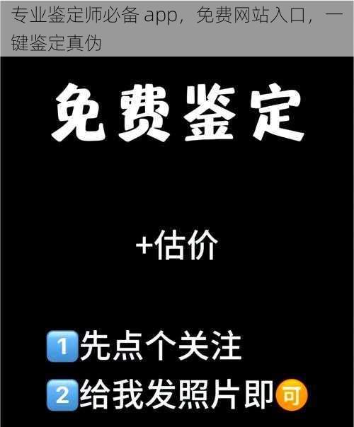专业鉴定师必备 app,免费网站入口,一键鉴定真伪