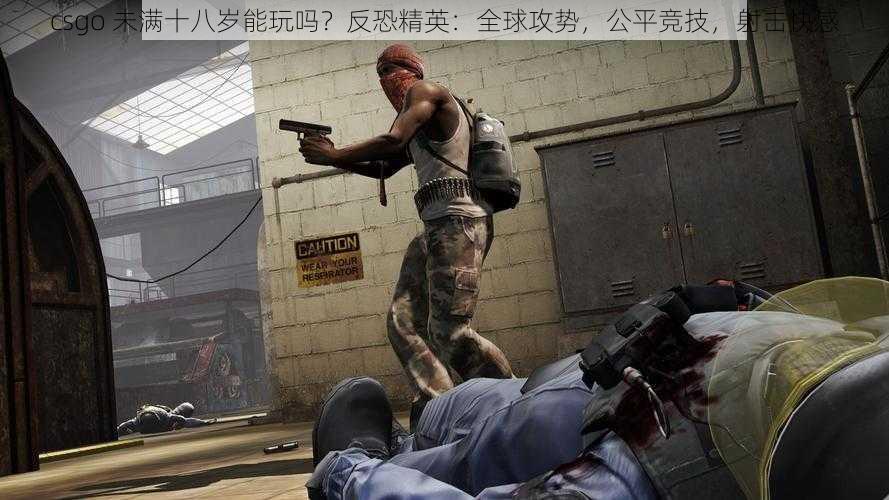 csgo 未满十八岁能玩吗?反恐精英:全球攻势,公平竞技,射击快感