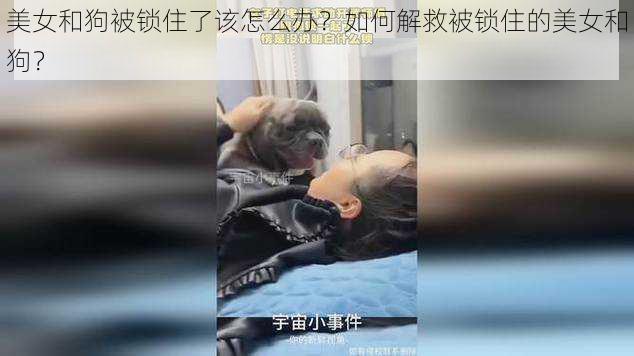 美女和狗被锁住了该怎么办?如何解救被锁住的美女和狗?